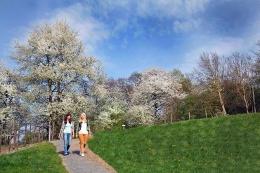 Zwei junge Frauen laufen im Sonnenschein über den Streuobstwiesenweg. 