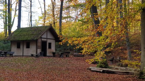 Ein Häuschen im Wald Ein kleines Häuschen in einem Wald im Herbst