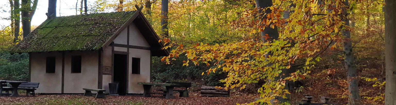 Ein Häuschen im Wald Ein kleines Häuschen in einem Wald im Herbst