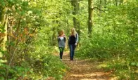 Zwei Frauen gehen durch einen Wald